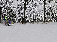 2003 schlittenhunde017.jpg